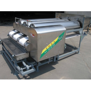 Fruit washing machine